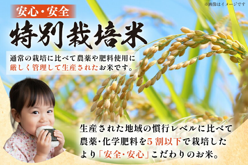 【ふるさと納税】 米 令和7年産 選べる定期便・品種・内容量 5kg 10kg 3回 6回 はえぬき つや姫 ミルキークイーン 雪若丸 定期 お米 こめ 白米 精米 ごはん 5キロ 10キロ [渡部ファーム 山形県 高畠町 tk06ays810045] - 画像3