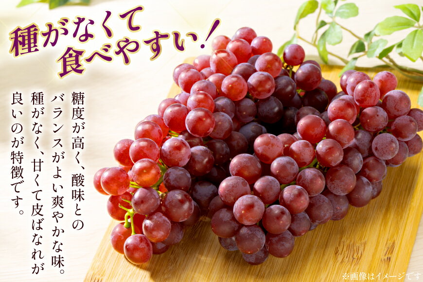 【ふるさと納税】 【期間限定発送】 ぶどう デラウェア 秀品 【選べる内容量】 [治右衛門果樹園 山形県 高畠町 tk06ays830012] 種なし ブドウ 葡萄 くだもの 果物 フルーツ 産地直送 農家直送 果実 デザート 甘い 1kg 2kg 小粒 期間限定 数量限定 冷蔵 - 画像3