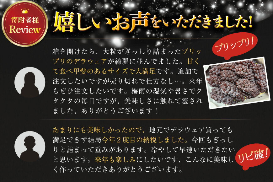 【ふるさと納税】 【期間限定発送】 ぶどう デラウェア 秀品 【選べる内容量】 [治右衛門果樹園 山形県 高畠町 tk06ays830012] 種なし ブドウ 葡萄 くだもの 果物 フルーツ 産地直送 農家直送 果実 デザート 甘い 1kg 2kg 小粒 期間限定 数量限定 冷蔵 - 画像2