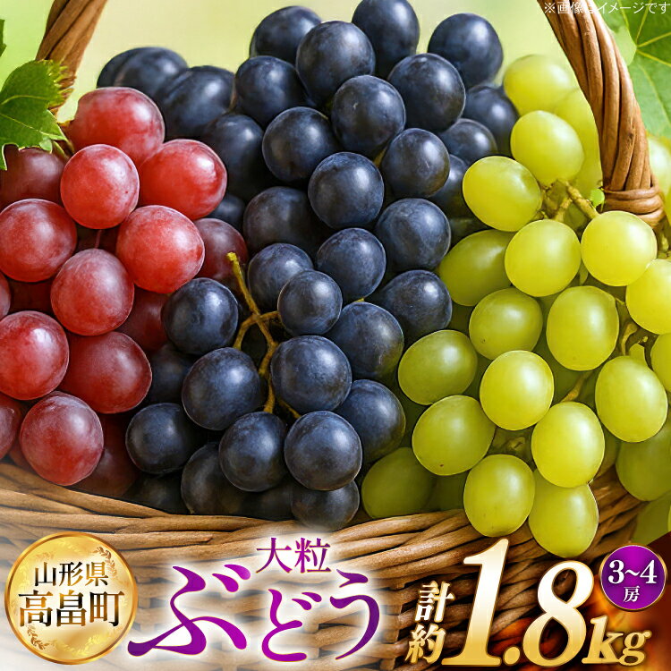 【期間限定発送】 ぶどう 2～3色 約 1.8kg 詰め合わせ セット [JA山形おきたま 山形県 高畠町 tk06ays870056] シャインマスカット 葡萄 セット ブドウ 巨峰 ピオーネ クイーンニーナ ゴルビー 高尾 蔵王おとめ 大粒 農家直送 朝採れ 食べ比べ 1.8キロ