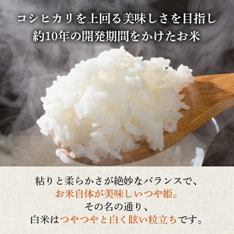 【ふるさと納税】 米 令和7年産 つや姫 5kg 特別栽培米 精米 [農家の蔵出し米生産組合 山形県 高畠町 tk06ays900022] コメ ご飯 ごはん お米 ブランド米 - 画像2