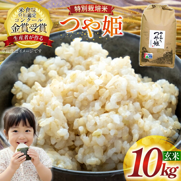 米 令和7年産 つや姫 10kg 特別栽培米 玄米 [農家の蔵出し米生産組合 山形県 高畠町 tk06ays900025] コメ ご飯 ごはん お米 ブランド米