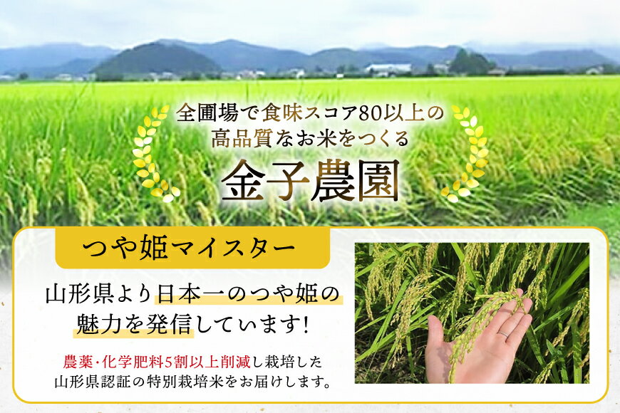 【ふるさと納税】 米 令和7年/8年産 厳選米 匠 特別栽培米 つや姫 【選べる】 5kg 10kg 1回 3回 [山形県 高畠町 金子農園 tk06ays950057] 精米 白米 お米 こめ ブランド米 ごはん ご飯 kome つやひめ 定期便 定期 3ヶ月 5キロ 10キロ 30kg 15kg 30キロ 15キロ - 画像3