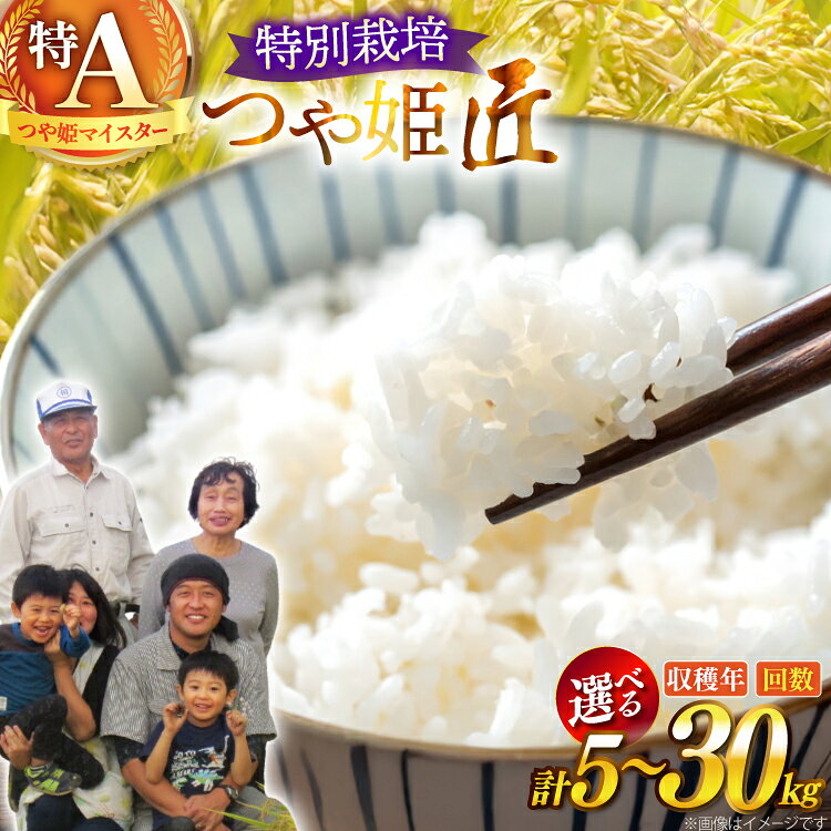 米 令和7年/8年産 厳選米 匠 特別栽培米 つや姫 【選べる】 5kg 10kg 1回 3回 [山形県 高畠町 金子農園 tk06ays950057] 精米 白米 お米 こめ ブランド米 ごはん ご飯 kome つやひめ 定期便 定期 3ヶ月 5キロ 10キロ 30kg 15kg 30キロ 15キロ