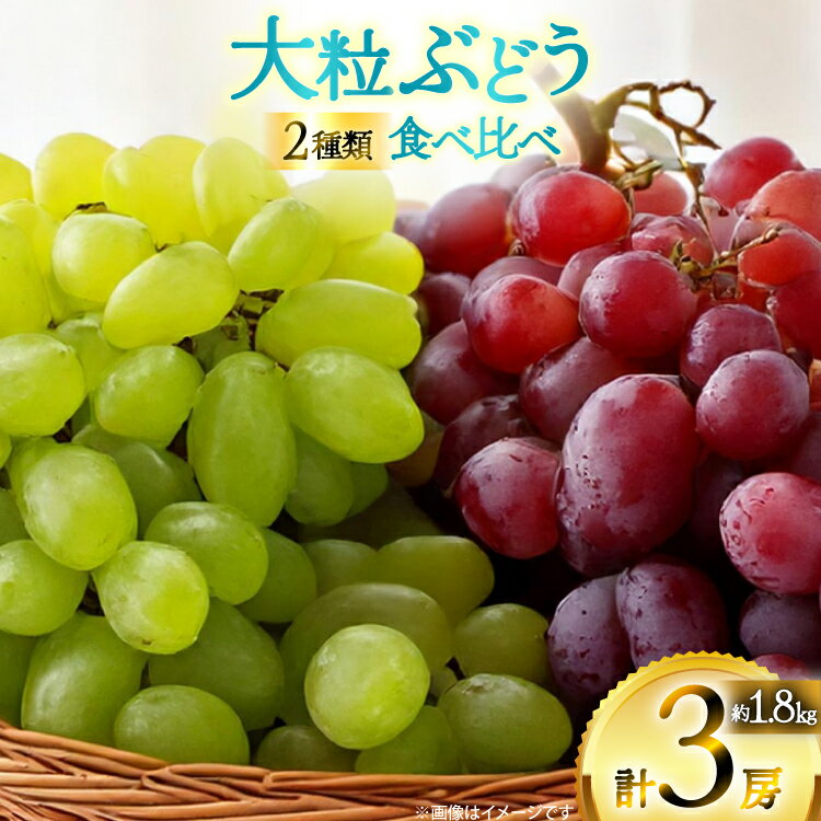 【期間限定発送】 ピオーネ シャインマスカット 2種 食べ比べ セット 約1.8kg [四釜昌和 山形県 高畠町 tk06ayt020006] ぶどう ブドウ 葡萄 マスカット 大粒 種なし 果物 フルーツ くだもの