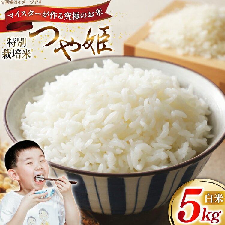 米 令和7年 つや姫マイスターが作る 特別栽培米 つや姫 5kg [遠藤農園 山形県 高畠町 tk06ayt120012] 5キロ お米 ブランド米 ごはん ご飯 白米 精米 こめ