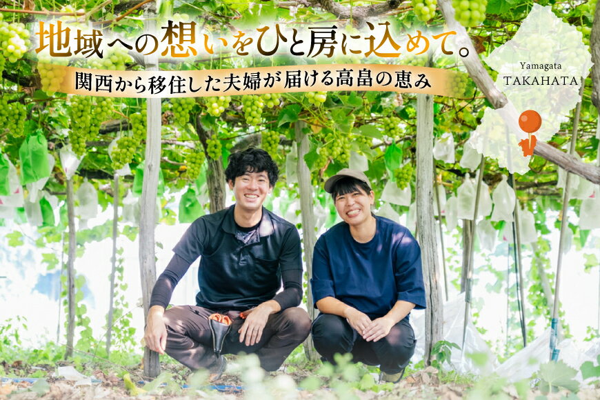 【ふるさと納税】 【期間限定発送】 シャインマスカット 選べる内容量 約650g〜約3kg [山形県 高畠町 いわた果樹園] ぶどう ブドウ 葡萄 フルーツ 果物 くだもの 甘い サムネイル2