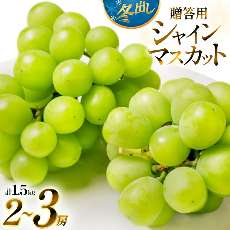【期間限定発送】 2026年 冬出し 贈答用 シャインマスカット 1.5kg (2〜3房) [いわた果樹園 山形県 高畠町 tk06ayt400004] ぶどう ブドウ 葡萄 マスカット フルーツ 果物 くだもの 産地直送 農家直送 果実 デザート シャイン
