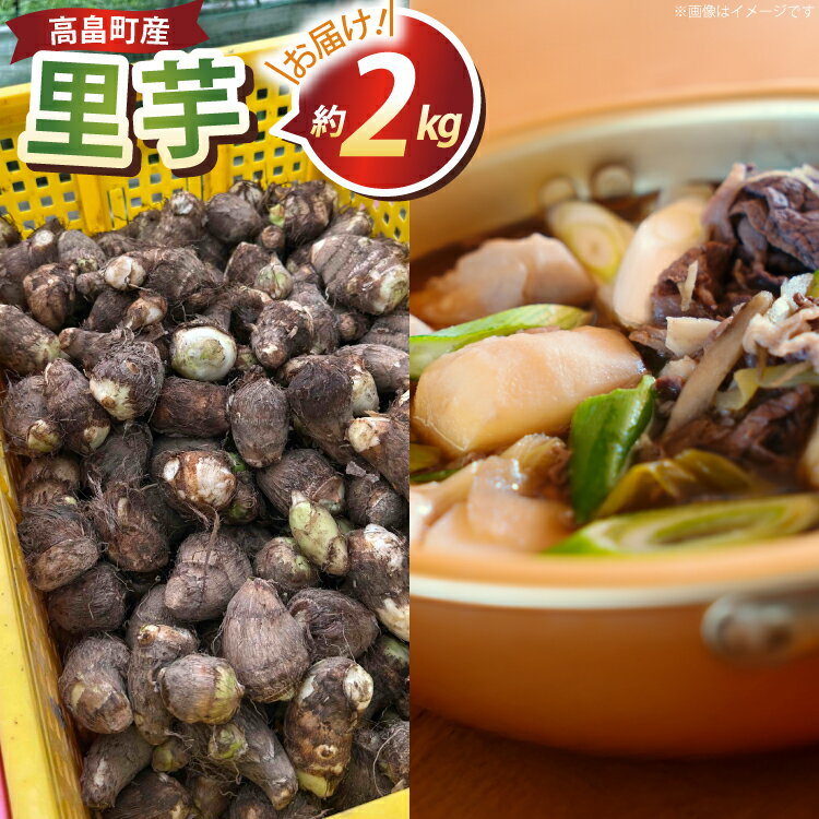 【期間限定発送】 里芋 約 2kg (15〜20個) 土付き [農家の店しゃんくすろーど 山形県 高畠町 tk06bcz250001] さといも 里いも 芋 野菜 やさい 芋煮 煮物 おかず 惣菜