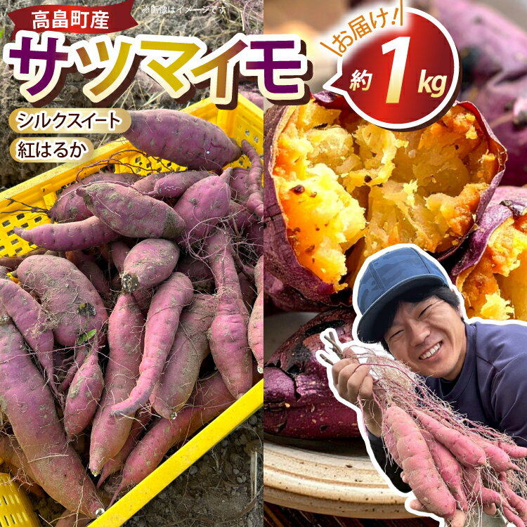 【期間限定発送】 さつまいも 2種 紅はるか シルクスイート 詰め合わせ 約1kg (4〜6本) [農家の店しゃんくすろーど 山形県 高畠町 tk06bcz250002] 芋 サツマイモ いも 野菜 やさい セット