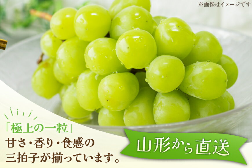 【ふるさと納税】 【期間限定発送】【2026年発送】 シャインマスカット 秀品 2kg (約3〜4房) [齋藤農園 山形県 高畠町 tk06bgt070000] ぶどう ブドウ 葡萄 マスカット フルーツ 果物 くだもの 産地直送 農家直送 冷蔵 果実 サムネイル2