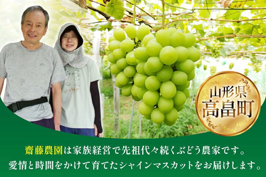 【ふるさと納税】 【期間限定発送】【2026年発送】 シャインマスカット 秀品 2kg (約3〜4房) [齋藤農園 山形県 高畠町 tk06bgt070000] ぶどう ブドウ 葡萄 マスカット フルーツ 果物 くだもの 産地直送 農家直送 冷蔵 果実 サムネイル3