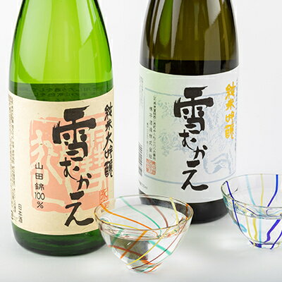 【ふるさと納税】純米大吟醸雪むかえ永楽、純米吟醸雪むかえ　飲み比べセット【1209369】 サムネイル2