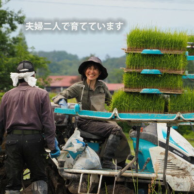 【ふるさと納税】令和7年産 コンクール受賞農家直送 山形県産つや姫5kg【浦田農園 むすび米】【1580594】 - 画像3