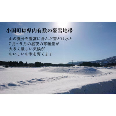 【ふるさと納税】はえぬき・つや姫食べ比べセット 精米 2kg×2袋 令和7年産米 山形県小国町産【1066038】 - 画像3