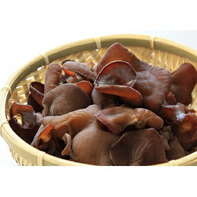 【ふるさと納税】【山形県小国町】白い森のきのこハウス(菌床1個+生きのこ2袋)【配送不可地域：離島】【1135051】 - 画像3