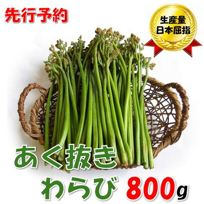 【先行予約・数量限定】採れたて山菜　あく抜きわらび　200g×4束【配送不可地域：離島】【1700436】