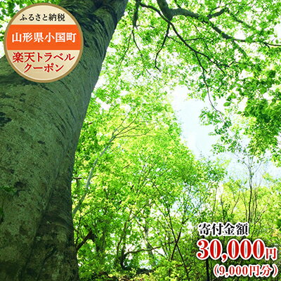 山形県小国町の対象施設で使える楽天トラベルクーポン寄付額30,000円（クーポン額9,000円）