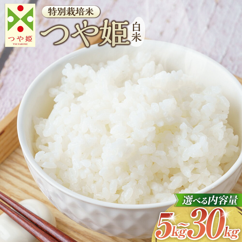 【選べる容量】【令和7年産】〈白米〉 つや姫 計5kg～30kg（特別栽培米） 山形県産 しらたかのお米 お米 米 白米 ごはん ご飯 精米 国産 お取り寄せ ブランド米 山形県 白鷹町 送料無料 【2025年11月上旬発送開始予定】