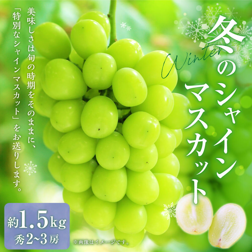 【ふるさと納税】山形おきたま産冬のシャインマスカット 秀 2～3房 （約1.5kg）【2025年12月下旬発送予定】シャインマスカット マスカット 葡萄 ぶどう ブドウ フルーツ スイーツ 果物 くだもの 果実 山形県 白鷹町 白鷹 冷蔵 送料無料 サムネイル2