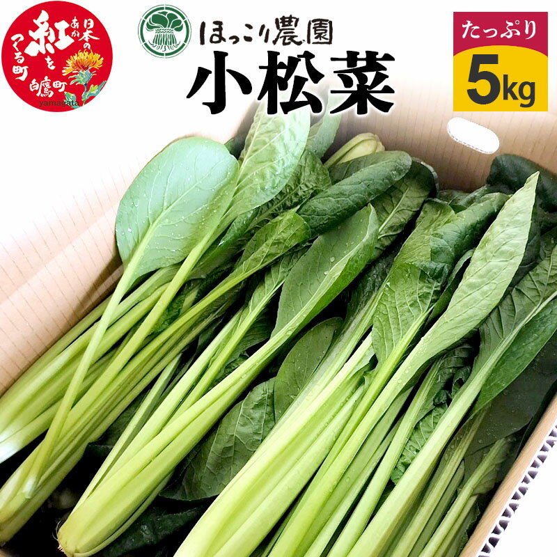 山形県白鷹町産 とれたて小松菜（5kg）個数限定 国産 旬 野菜 やさい こまつな