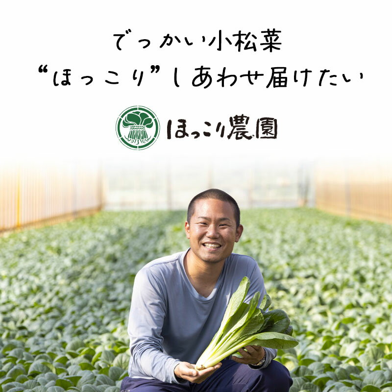 【ふるさと納税】 山形県白鷹町産 とれたて小松菜（5kg）個数限定 国産 旬 野菜 やさい こまつな - 画像3
