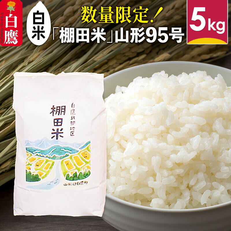 ＼レビューキャンペーン実施中／ 【白米】山形県産 棚田米 白鷹ほまれ 5kg 山形95号 令和7年産 米 お米 精米 コメ おこめ ごはん ご飯 白米 5キロ 【2025年10月下旬順次出荷予定】