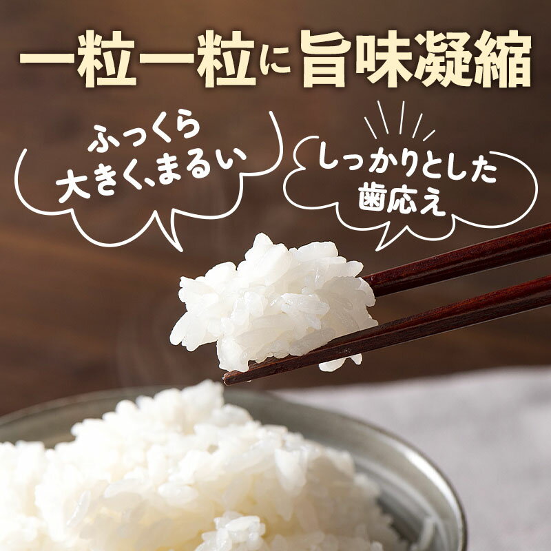 【ふるさと納税】＼レビューキャンペーン実施中／ 【白米】山形県産 棚田米 白鷹ほまれ 5kg 山形95号 令和7年産 米 お米 精米 コメ おこめ ごはん ご飯 白米 5キロ 【2025年10月下旬順次出荷予定】 サムネイル2