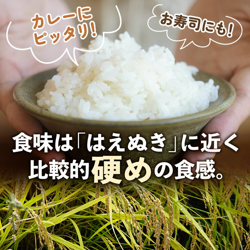 【ふるさと納税】＼レビューキャンペーン実施中／ 【白米】山形県産 棚田米 白鷹ほまれ 5kg 山形95号 令和7年産 米 お米 精米 コメ おこめ ごはん ご飯 白米 5キロ 【2025年10月下旬順次出荷予定】 サムネイル3