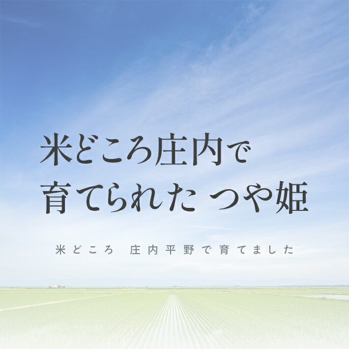【ふるさと納税】つや姫 5kg 令和7年産米 特別栽培米 山形県庄内産 ご希望の時期頃にお届け 東北 山形県 遊佐町 庄内地方 米 お米 精米 白米 ブランド米 庄内米 ご飯 ごはん 農協 JA お試し 発送時期が選べる - 画像2