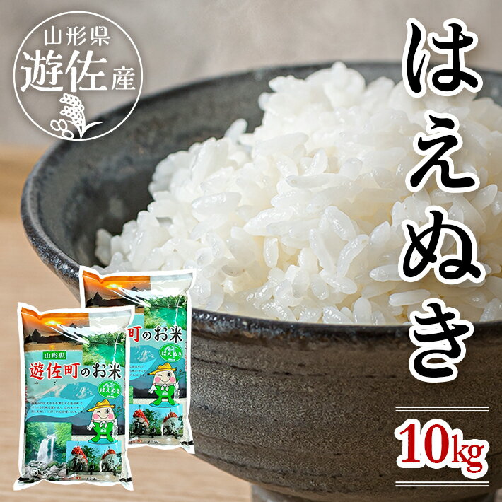 はえぬき 計10kg 5kg×2袋 令和7年産米 山形県遊佐産 ご希望の時期頃お届け 東北 遊佐町 庄内地方 庄内平野 米 お米 精米 白米 庄内米 ごはん ご飯 セット