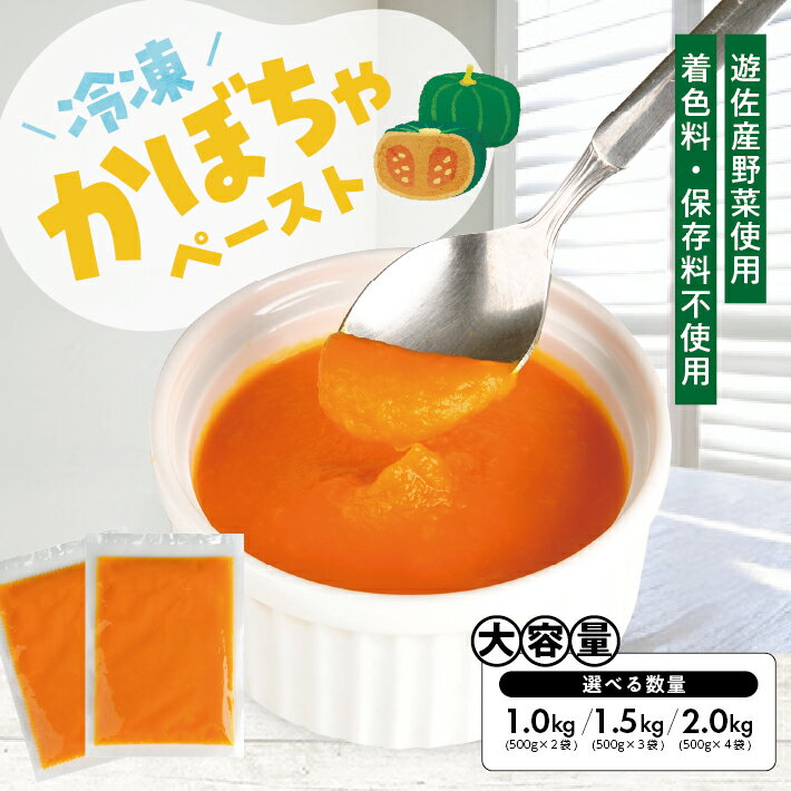 冷凍かぼちゃペースト 選べる数量 2～4袋 1袋あたり500g 山形県遊佐産 冷凍便 ※離島発送不可 冷凍 かぼちゃ カボチャ 南瓜 野菜 野菜ペースト 離乳食 介護食 お菓子作り 小分け ゆざ食彩工房 遊佐町 庄内 東北