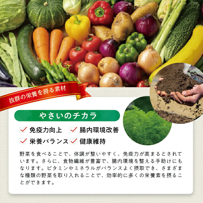 【ふるさと納税】冷凍野菜ペーストアラカルト6種 ほうれん草 さつまいも 玉ねぎ パプリカ にんじん かぼちゃ 各500g 計3.0kg 冷凍便 ※離島発送不可 冷凍 野菜 野菜ペースト 離乳食 介護食 小分け お菓子作り アラカルト セット 詰め合わせ ゆざ食彩工房 遊佐町 庄内 - 画像3