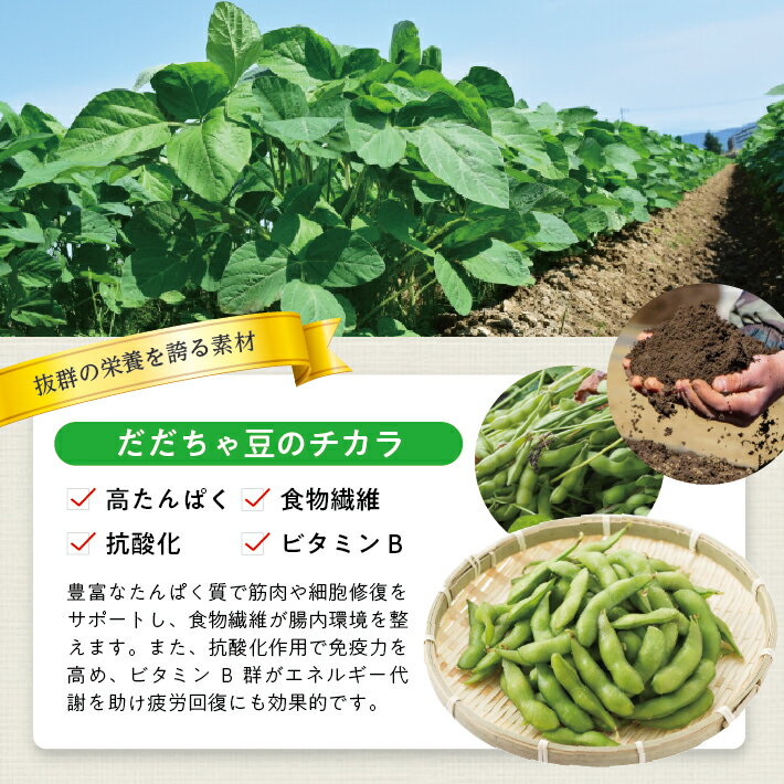 【ふるさと納税】冷凍だだちゃ豆ペースト 選べる数量 2～4袋 1袋あたり500g 山形県鶴岡産 冷凍便 ※離島発送不可 冷凍 だだちゃ豆 枝豆 野菜 野菜ペースト 離乳食 介護食 小分け ゆざ食彩工房 遊佐町 庄内 東北 - 画像3