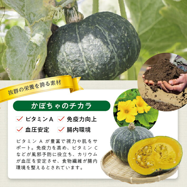 【ふるさと納税】冷凍かぼちゃペースト 選べる数量 2～4袋 1袋あたり500g 山形県遊佐産 冷凍便 ※離島発送不可 冷凍 かぼちゃ カボチャ 南瓜 野菜 野菜ペースト 離乳食 介護食 お菓子作り 小分け ゆざ食彩工房 遊佐町 庄内 東北 - 画像3