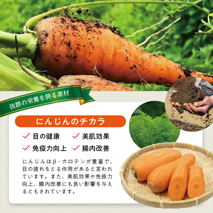 【ふるさと納税】冷凍にんじんペースト 選べる数量 2～4袋 1袋あたり500g 冷凍便 ※離島発送不可 冷凍 にんじん ニンジン 人参 野菜 野菜ペースト 離乳食 介護食 小分け お菓子作り ゆざ食彩工房 遊佐町 庄内 東北 - 画像3