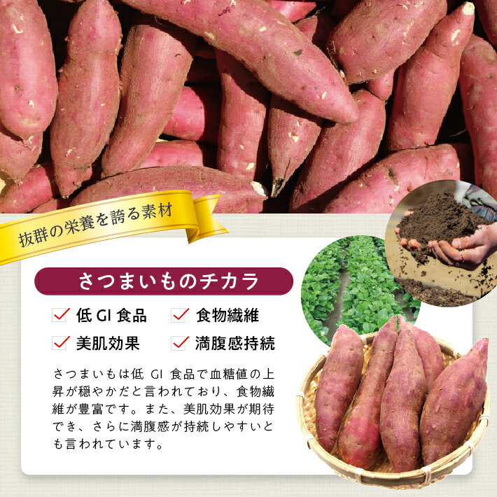 【ふるさと納税】冷凍さつまいもペースト 選べる数量 2～4袋 1袋あたり500g 山形県遊佐産 冷凍便 ※離島発送不可 冷凍 さつまいも さつま芋 サツマイモ 野菜 野菜ペースト 離乳食 介護食 お菓子作り 小分け ゆざ食彩工房 遊佐町 庄内 東北 - 画像3