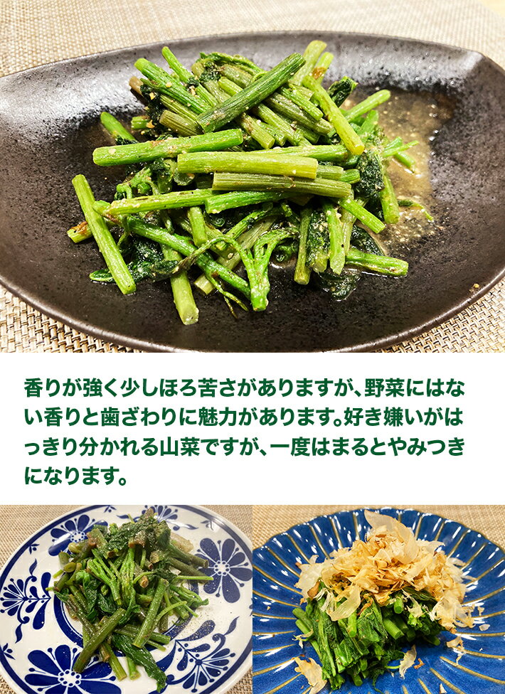【ふるさと納税】天然しどけ 約300g おまけの山菜1種付き 4月上旬～4月下旬頃お届け 冷蔵便 ※着日指定・離島発送不可 しどけ モミジガザ キノシタ 東北 山形県 遊佐町 庄内 野菜 自然 採れたて 春 旬 山菜 - 画像3