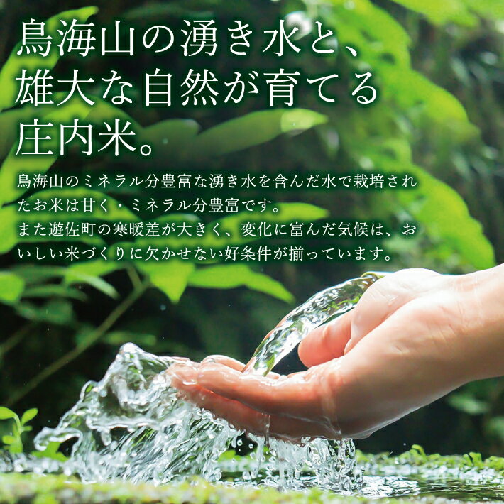 【ふるさと納税】ひとめぼれ 5kg 令和7年産 山形県遊佐町産 ご希望の時期頃お届け 東北 山形県 遊佐町 庄内地方 米 お米 精米 白米 ブランド米 庄内米 ご飯 ごはん お試し - 画像3