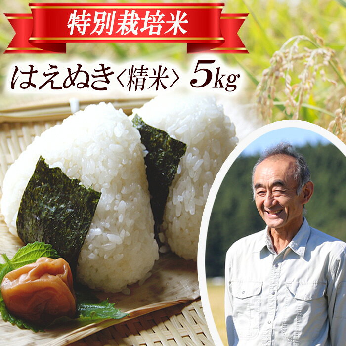 はえぬき 5kg×1袋 令和7年産米 特別栽培米 山形県遊佐産 鳥海山の恵 東北 遊佐町 庄内地方 庄内平野 米 お米 精米 白米 庄内米 ごはん ご飯