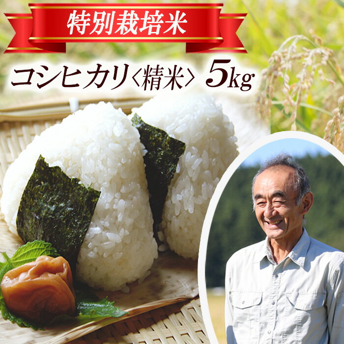 コシヒカリ 5kg×1袋 令和7年産米 特別栽培米 山形県遊佐産 鳥海山の恵 東北 遊佐町 庄内地方 庄内平野 米 お米 精米 白米 庄内米 ごはん ご飯
