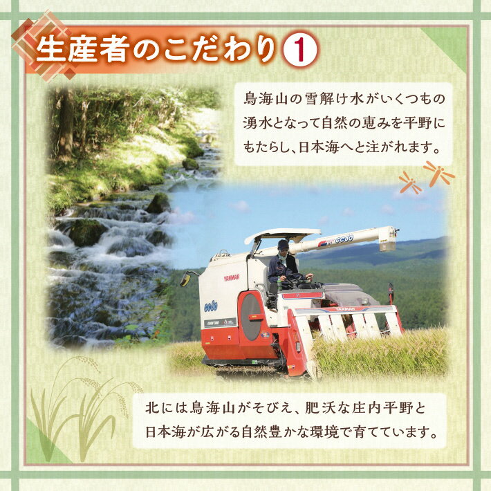 【ふるさと納税】コシヒカリ 5kg×1袋 令和7年産米 特別栽培米 山形県遊佐産 鳥海山の恵 東北 遊佐町 庄内地方 庄内平野 米 お米 精米 白米 庄内米 ごはん ご飯 - 画像3