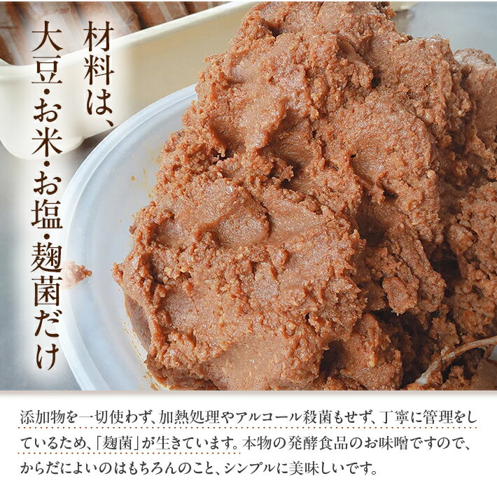 【ふるさと納税】米味噌 あかり味噌 選べる袋数 1袋あたり100g 10～20袋 計1～2kg 冷蔵便 ※離島発送不可 熟成 木樽仕込み 寒仕込み みそ クラフト味噌 小分け お試し 少量 東北 山形県 遊佐町 庄内 サムネイル3