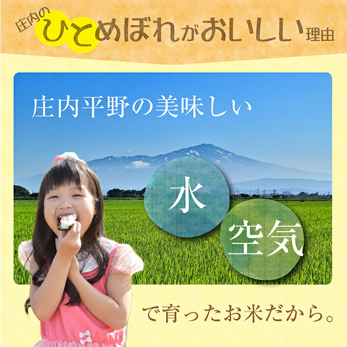 【ふるさと納税】ひとめぼれ 計10kg 5kg×2袋 令和7年産米 山形県庄内産 ご希望時期頃お届け 東北 山形県 遊佐町 庄内地方 米 お米 精米 白米 庄内米 ご飯 ごはん 農協 JA 発送時期が選べる サムネイル2