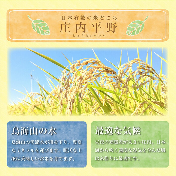 【ふるさと納税】ひとめぼれ 計10kg 5kg×2袋 令和7年産米 山形県庄内産 ご希望時期頃お届け 東北 山形県 遊佐町 庄内地方 米 お米 精米 白米 庄内米 ご飯 ごはん 農協 JA 発送時期が選べる サムネイル3