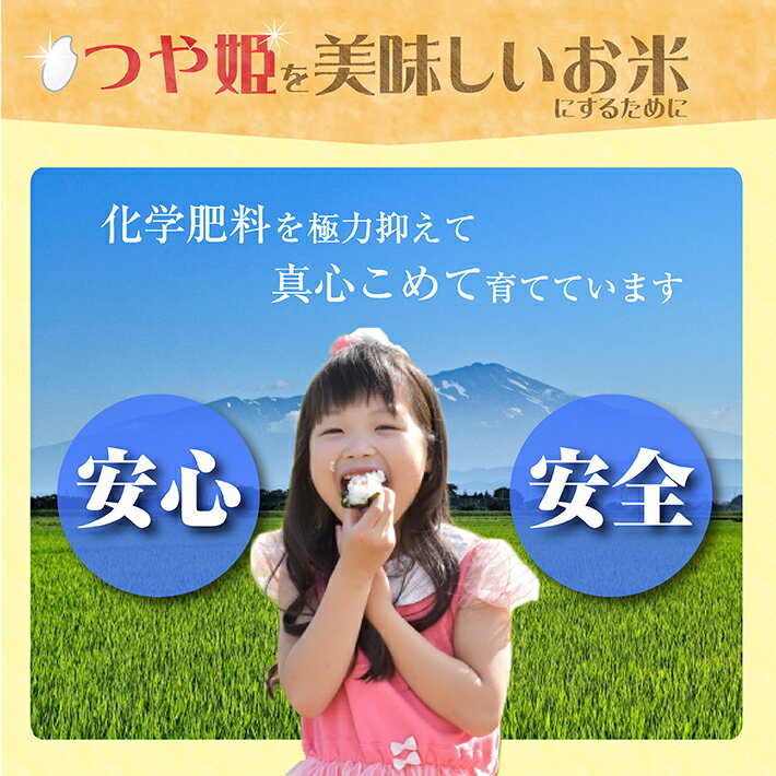 【ふるさと納税】≪3ヶ月定期便≫ 特別栽培米つや姫10kg（5kg×2袋）×3ヶ月連続 計30kg 山形県庄内産 ご希望期間の毎月下旬頃お届け JA 農協 産地直送 精米 白米 庄内米 東北 遊佐町 ブランド米 サムネイル3