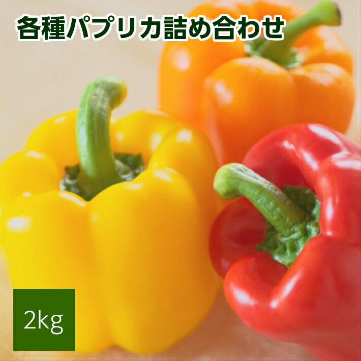 パプリカアラカルト 2kg 山形県遊佐産 2026年7月上旬～11月下旬頃お届け ※着日指定不可 野菜 パプリカ 東北 山形県 遊佐町 庄内 夏 秋