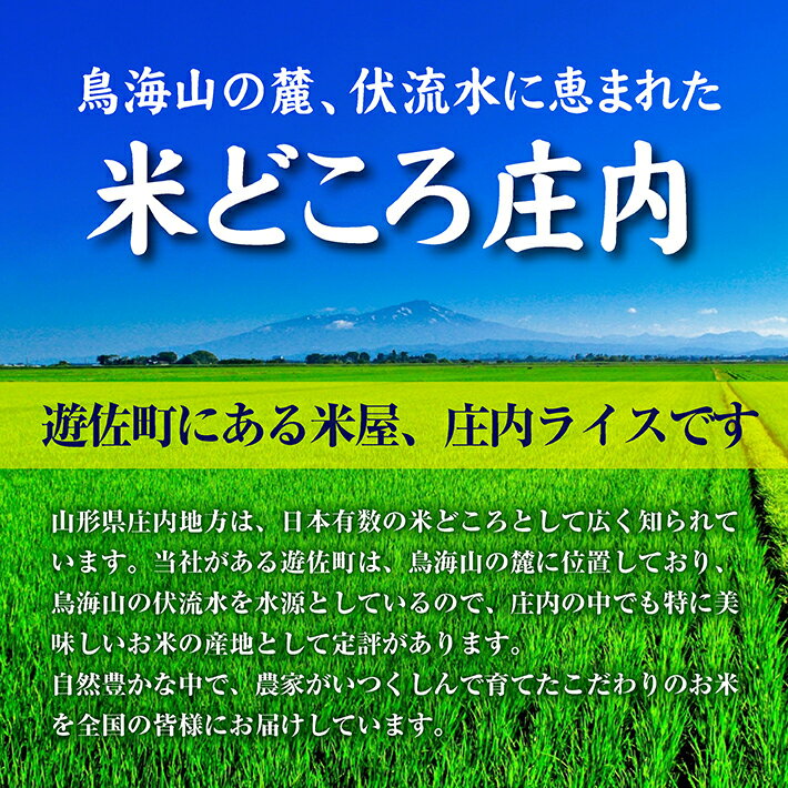 【ふるさと納税】ひとめぼれ 計10kg 5kg×2袋 令和7年産米 山形県庄内産 東北 遊佐町 庄内地方 庄内平野 米 お米 精米 白米 庄内米 ごはん ご飯 セット - 画像2