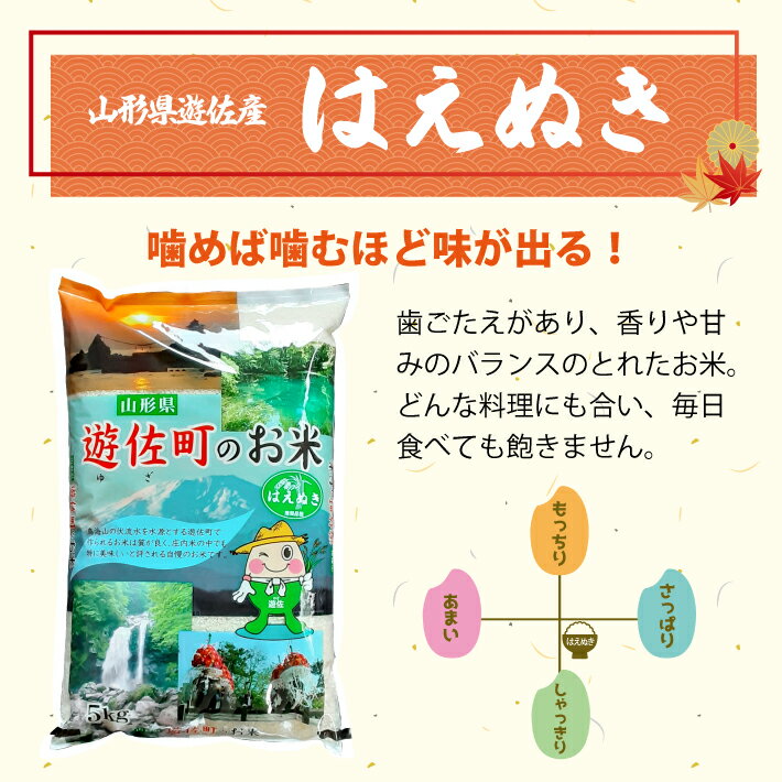 【ふるさと納税】はえぬき 計10kg 5kg×2袋 令和7年産米 山形県遊佐産 ご希望の時期頃お届け 東北 遊佐町 庄内地方 庄内平野 米 お米 精米 白米 庄内米 ごはん ご飯 セット - 画像3