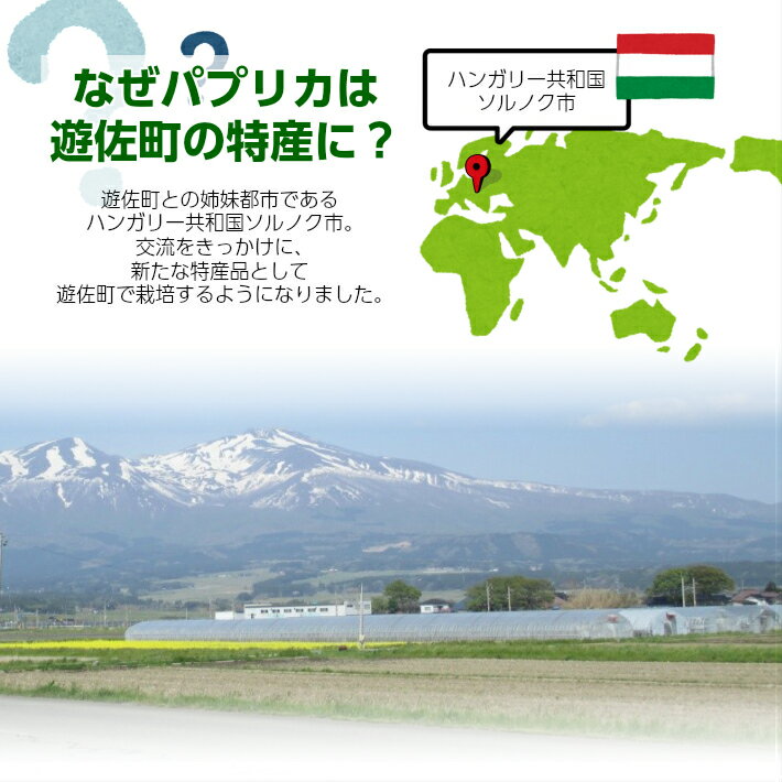 【ふるさと納税】パプリカアラカルト 2kg 山形県遊佐産 2026年7月上旬～11月下旬頃お届け ※着日指定不可 野菜 パプリカ 東北 山形県 遊佐町 庄内 夏 秋 - 画像3